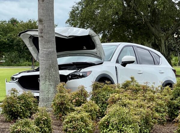 The driver of this vehicle suffered a medical episode before crashing into a tree in The Villages The driver of this vehicle suffered a medical episode before crashing into a tree in The Villages