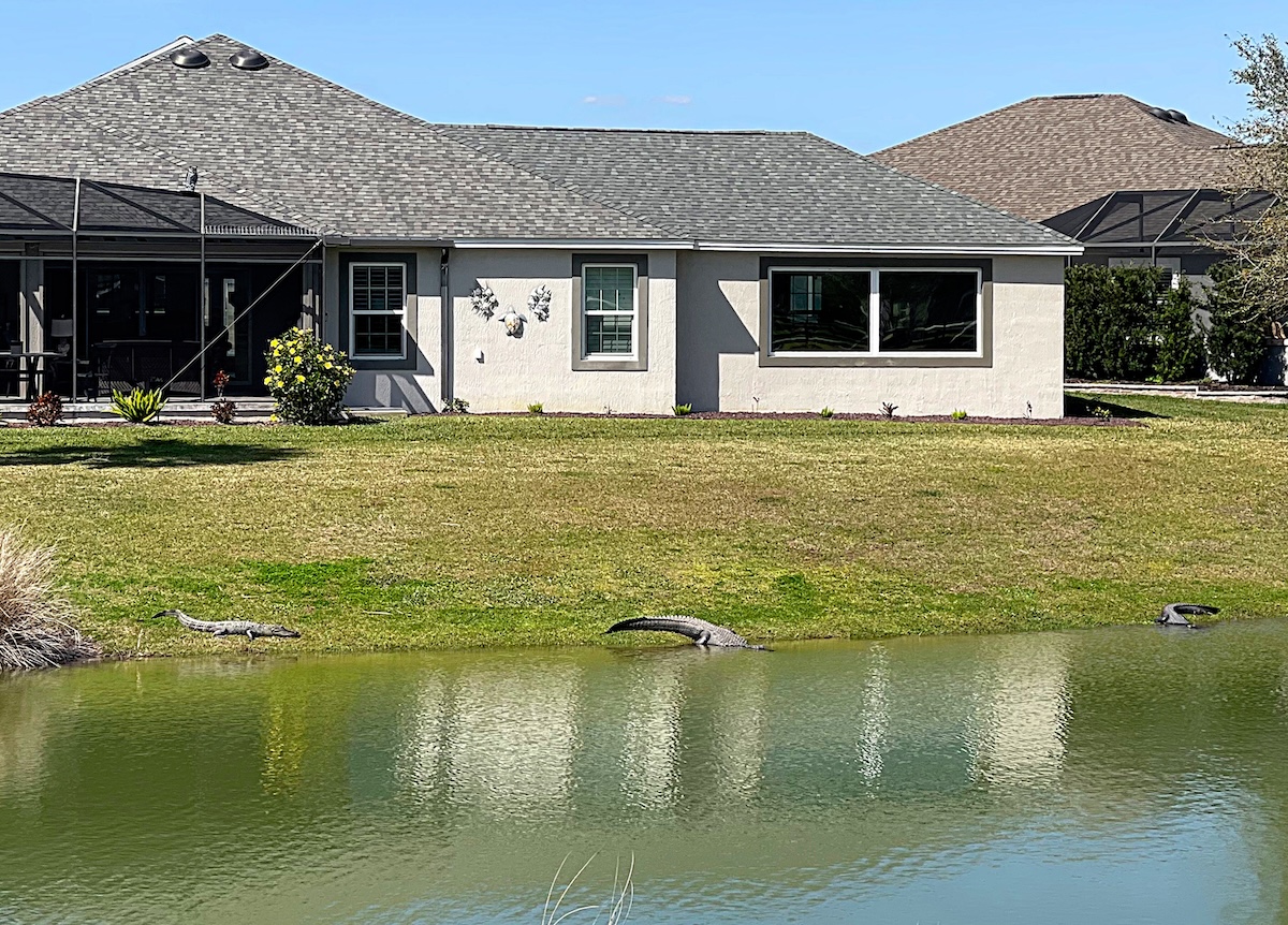 The joys of living on a retention pond in The Villages