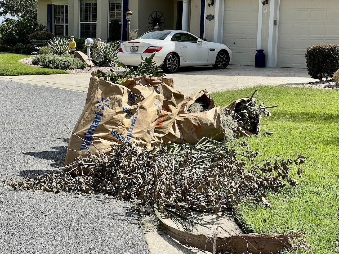 storm clean up in The Villages