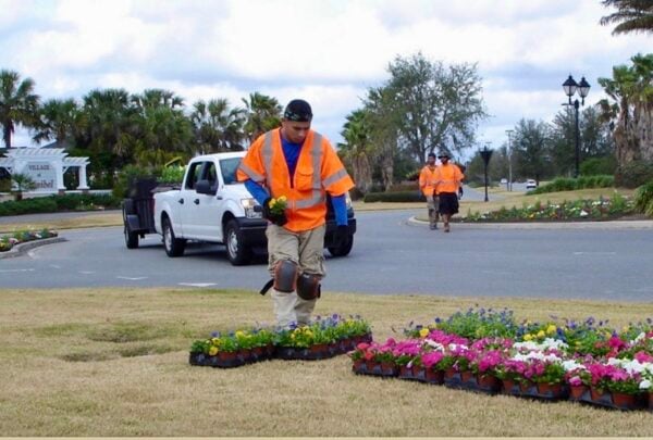 How about a friendly wave for the landscapers?