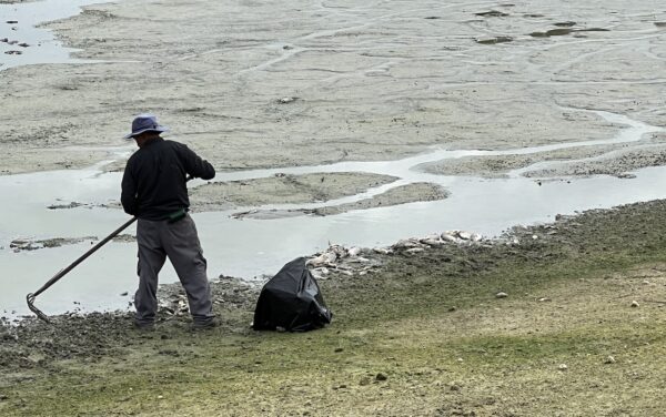 A technician from Crosscreek Environmental employee was working Tuesday at the pond A technician from Crosscreek Environmental employee was working Tuesday at the pond