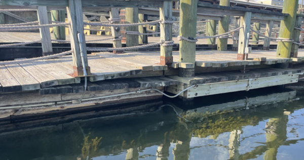 Lake Sumter Landing Dock Rotted wood