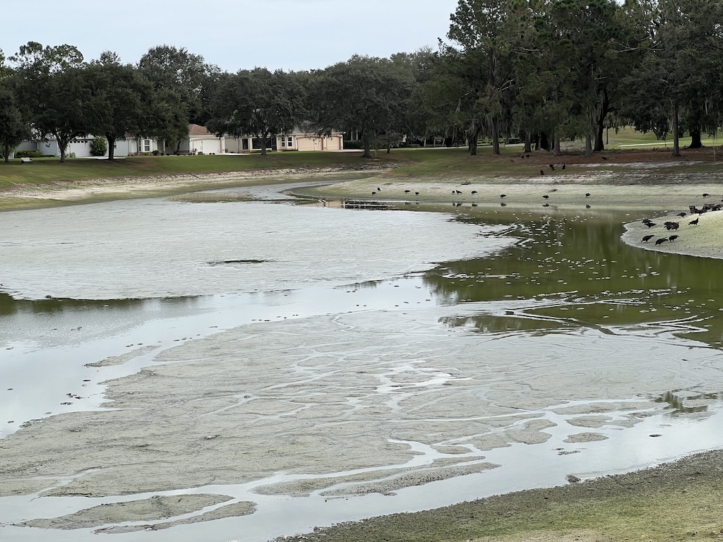 The level at the pond in Haciena East suddenly dropped living many, many fish dead
