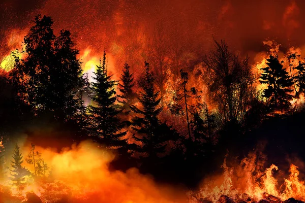 California wildfire