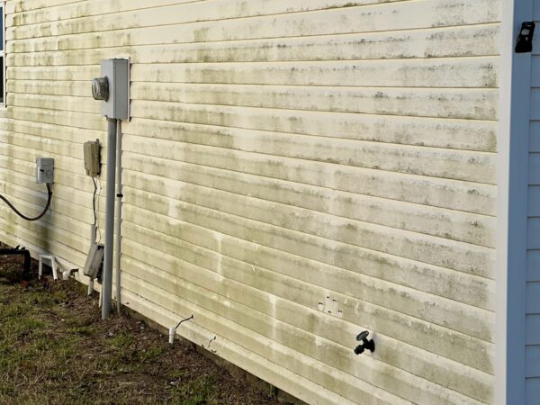 Mold has become a problem at 307 Santa Clara Circle in the Village of Rio Ponderosa Mold has become a problem at 307 Santa Clara Circle in the Village of Rio Ponderosa