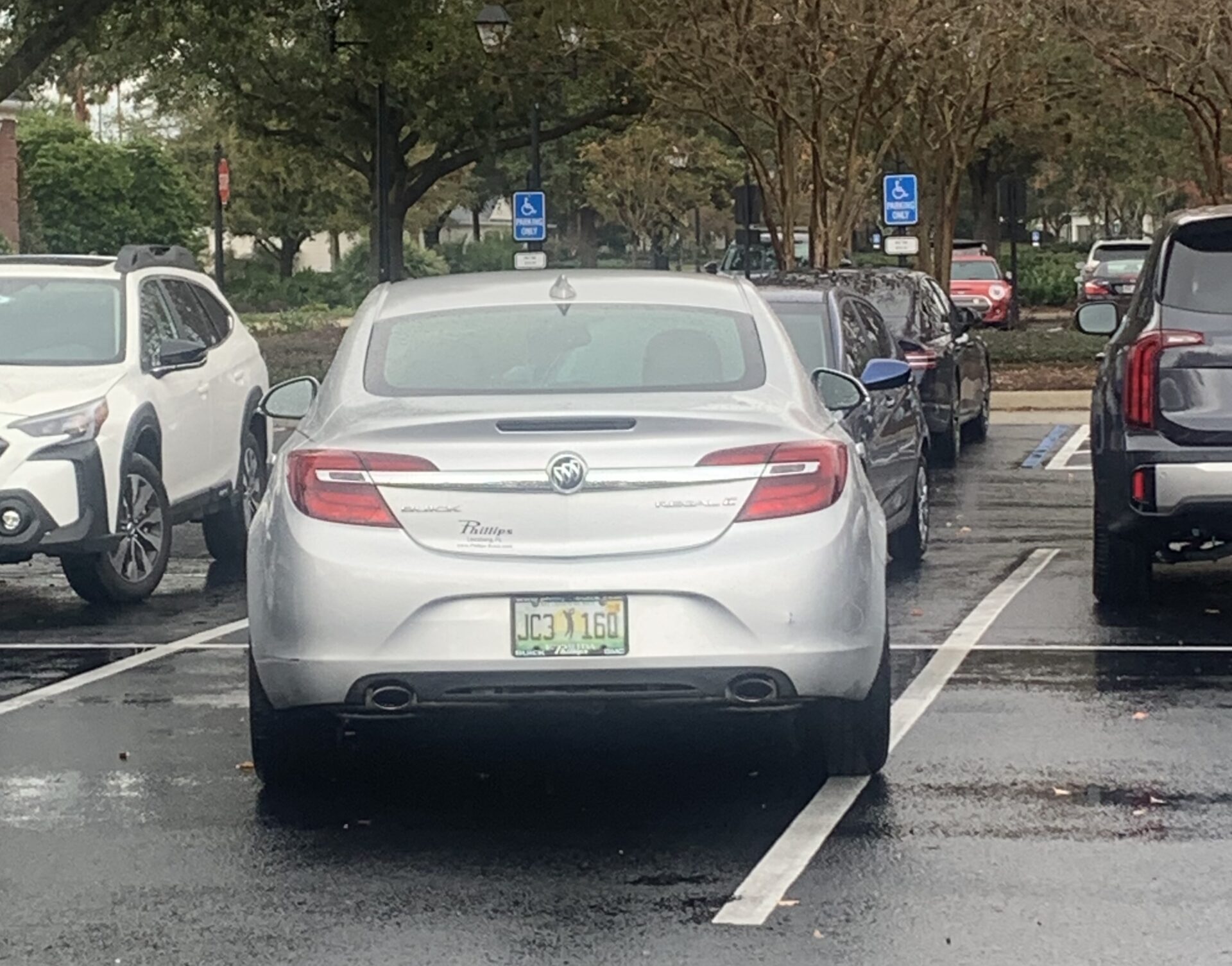 The driver of this Buick had a little trouble keeping it within the white lines at Laurel Manor Recreation Center