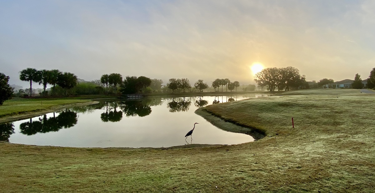 Beautiful golf course view in the Village of Collier