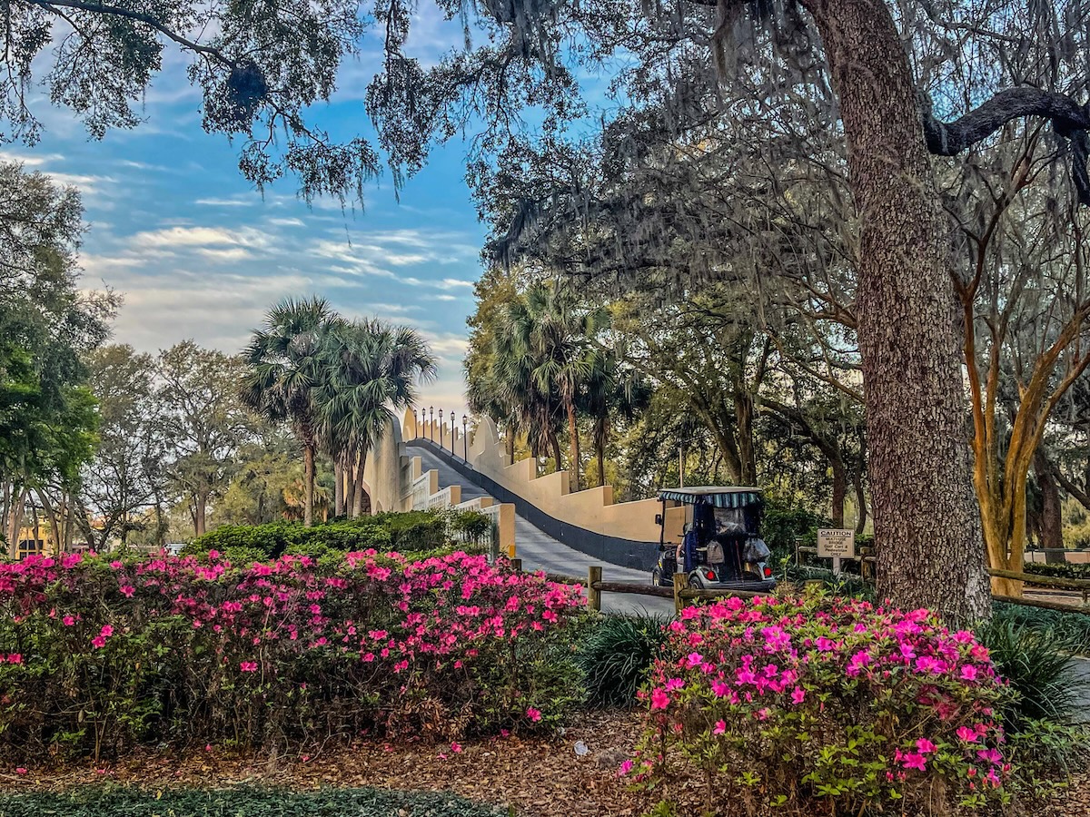 Beautiful morning at Paradise Park in The Villages Beautiful morning at Paradise Park in The Villages