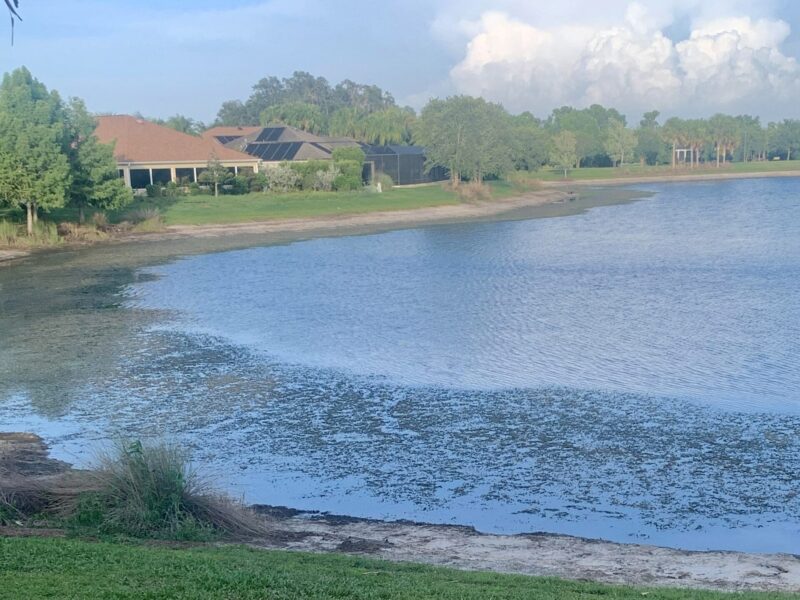 Bill Wright shared this photo of the pond in the Village of Lake Deaton