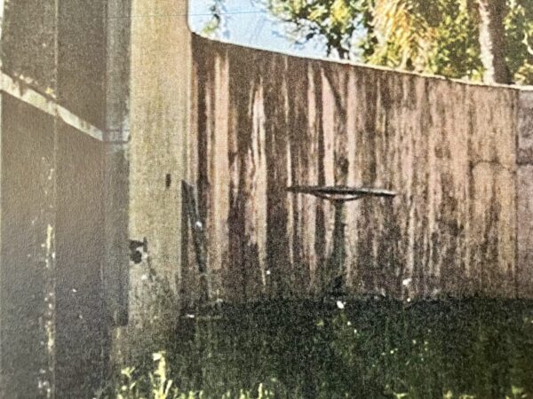 Mold has been growing on the home at 2002 Alfredo Avenue in Villa De La Roma Mold has been growing on the home at 2002 Alfredo Avenue in Villa De La Roma
