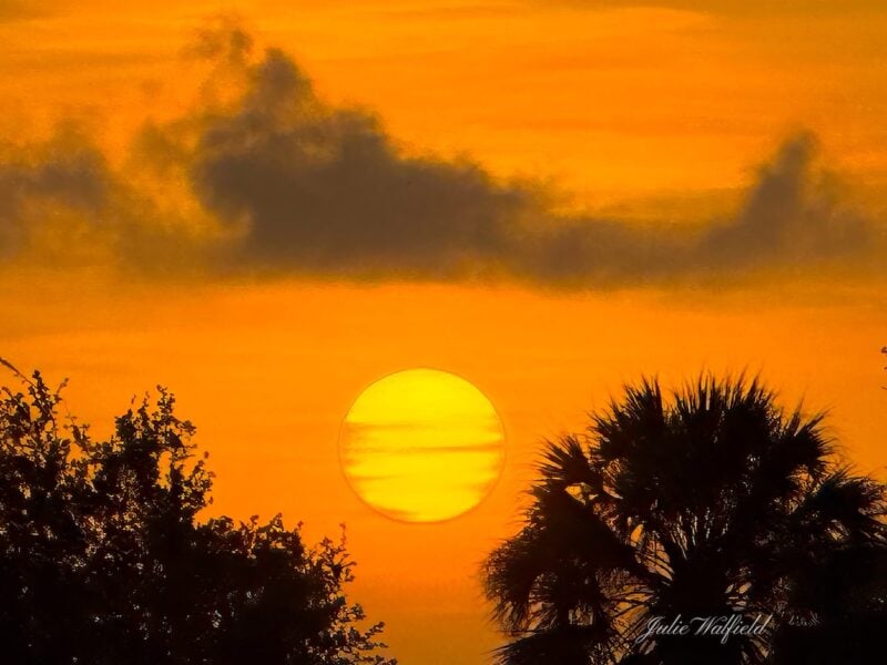Another stunning sunrise view to kickstart your day in The Villages