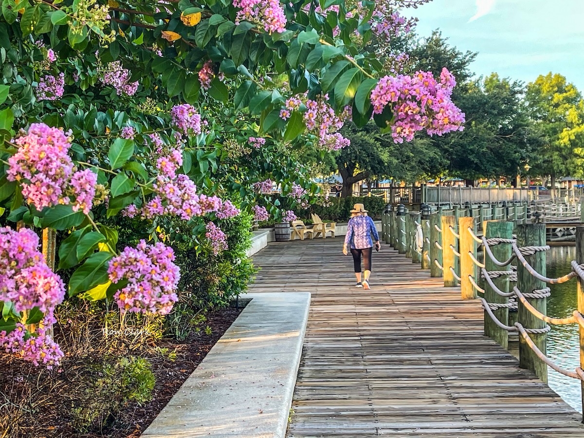 Beautiful morning for a sunrise stroll on the boardwalk at Lake Sumter Beautiful morning for a sunrise stroll on the boardwalk at Lake Sumter
