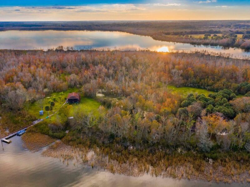 Bird Island