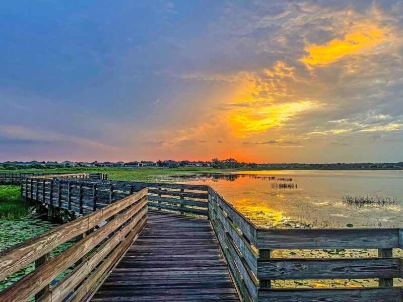 Majestic sunrise at Sharon Rose Wiechens Preserve