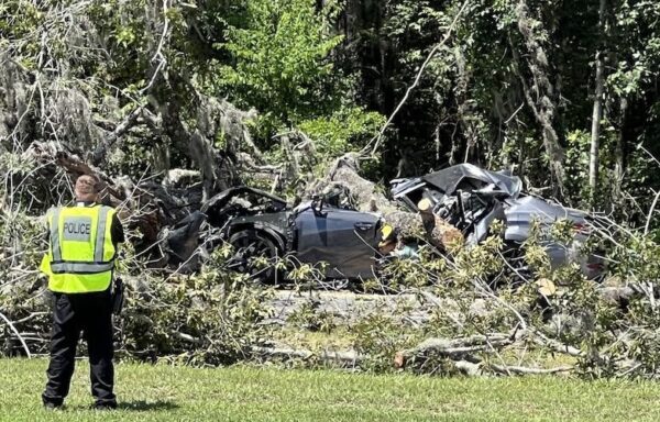 The collapse of the tree killed the driver of the automobile The collapse of the tree killed the driver of the automobile