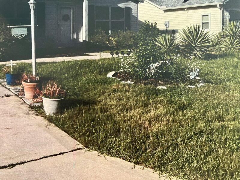 The homeonwer at 322 Olanta Drive in the Village of Caroline has been ordered to cut the grass within seven days