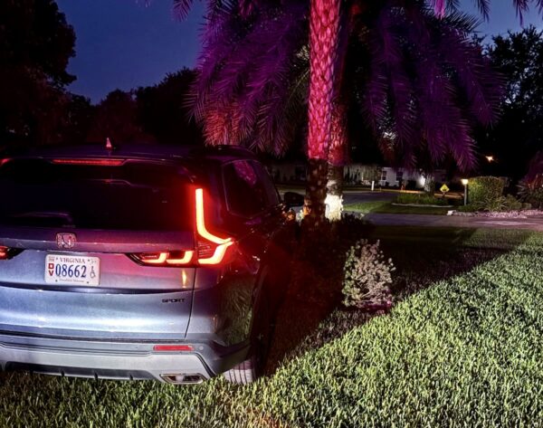 This car crashed into a tree Saturday night in the Village of De La Vista West This car crashed into a tree Saturday night in the Village of De La Vista West