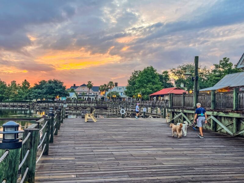 Walking the dogs at sunrise on the boardwalk at Lake Sumter