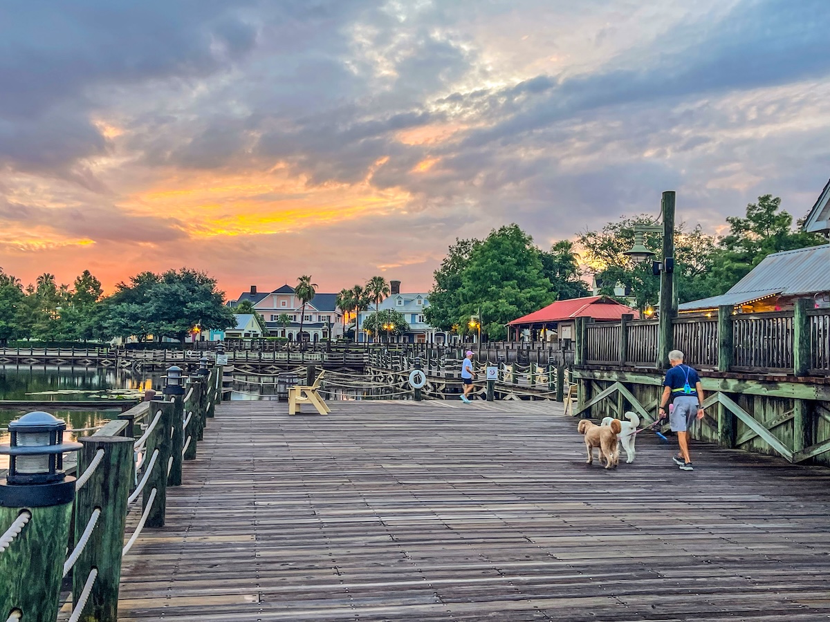 Walking the dogs at sunrise on the boardwalk at Lake Sumter Walking the dogs at sunrise on the boardwalk at Lake Sumter