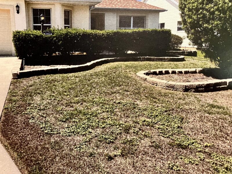A homeowner at 1088 Ridgeland Path in the Village of Sabal Chase has been ordered to bring his lawn back into compliance