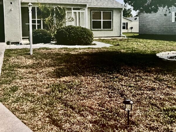A homeowner at 2015 Cipriano Place in the Village of Santo Domingo could face fines over his dead grass A homeowner at 2015 Cipriano Place in the Village of Santo Domingo could face fines over his dead grass