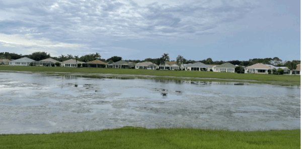 Algae can be seen on the top of the water at the basin known as Lago Largo Algae can be seen on the top of the water at the basin known as Lago Largo