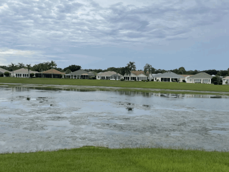 Algae can be seen on the top of the water at the basin known as Lago Largo