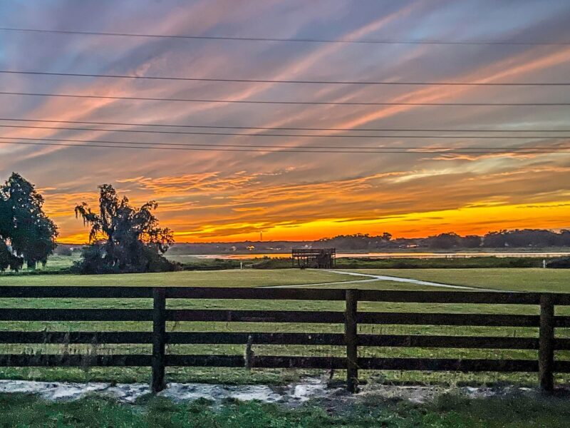 Another gorgeous sunrise at Sharon Rose Wiechens Preserve