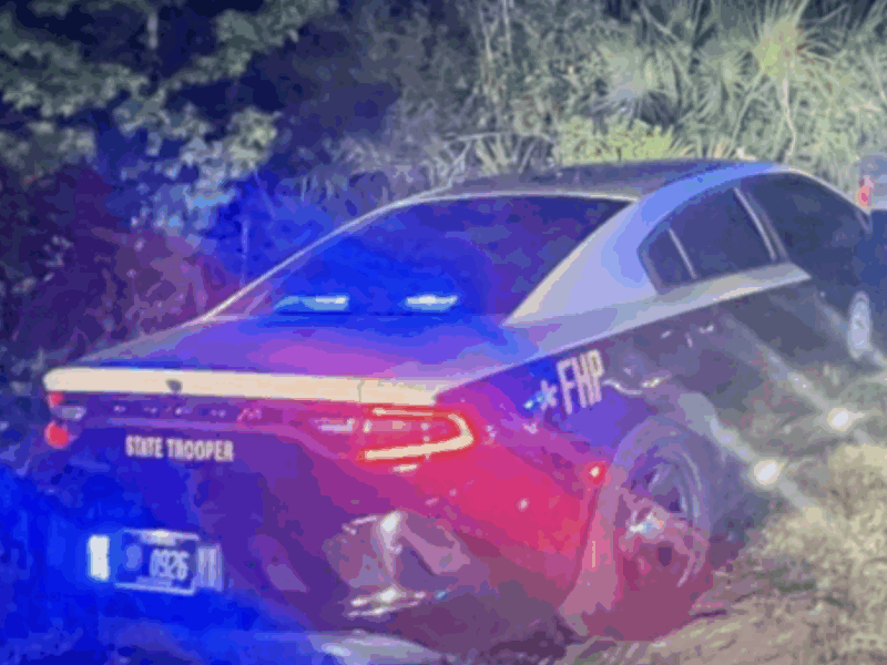 FHP