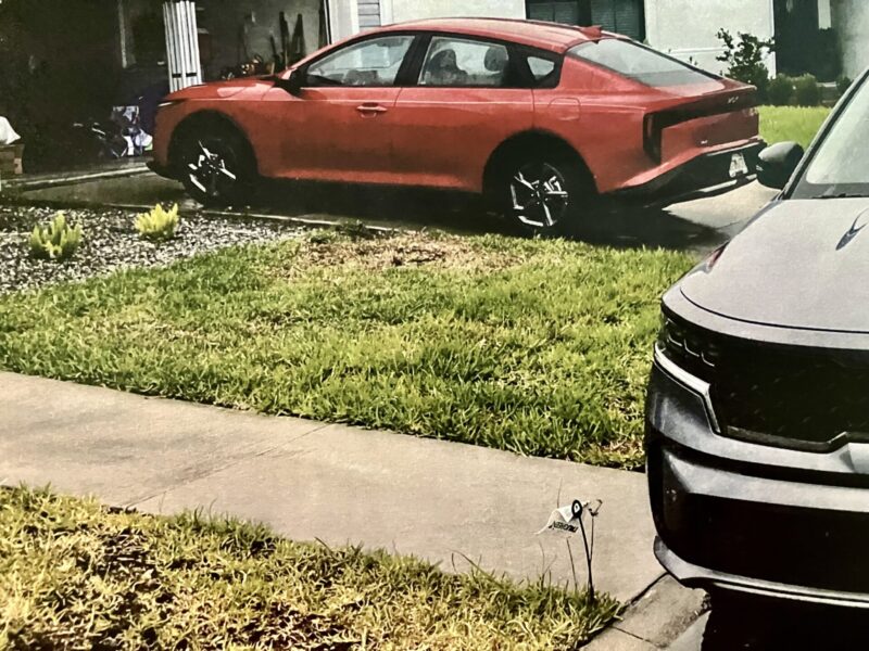 There have been problems with this lawn at a home in Middleton