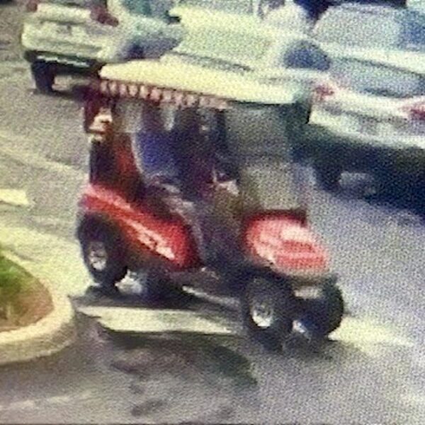 This red golf cart fled the scene after striking two vehicles. This red golf cart fled the scene after striking two vehicles.