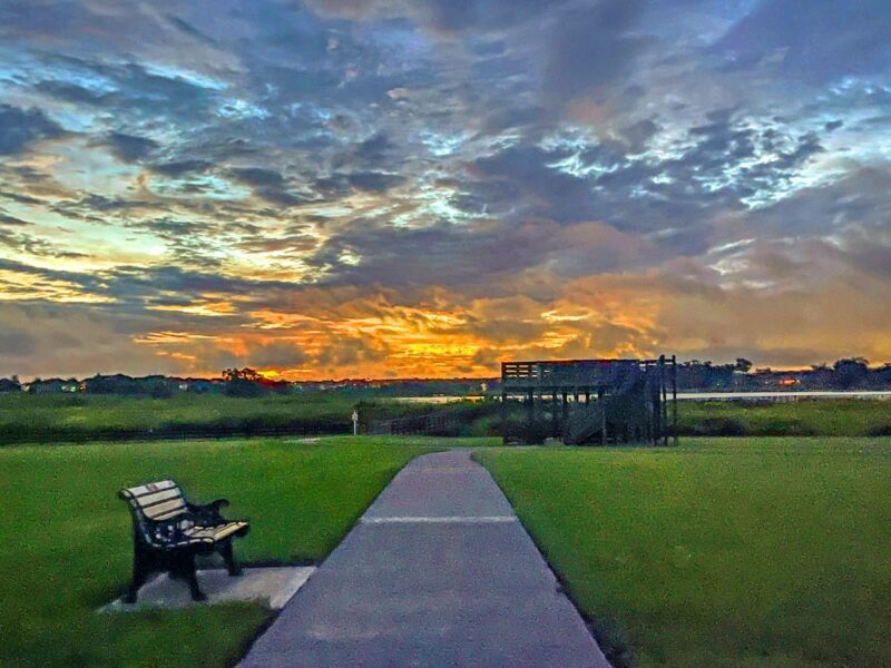Beautiful sunrise at Sharon Rose Wiechens Preserve