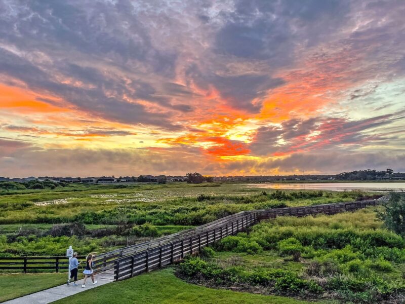 Colorful sunrise at Sharon Rose Wiechens Preserve