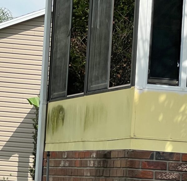 Mold is visible on the side of the home at 1611 Pebble Beach Lane Mold is visible on the side of the home at 1611 Pebble Beach Lane