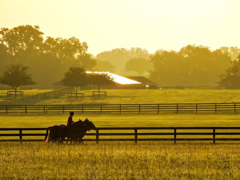 Sunrise near The Villages Polo Fields
