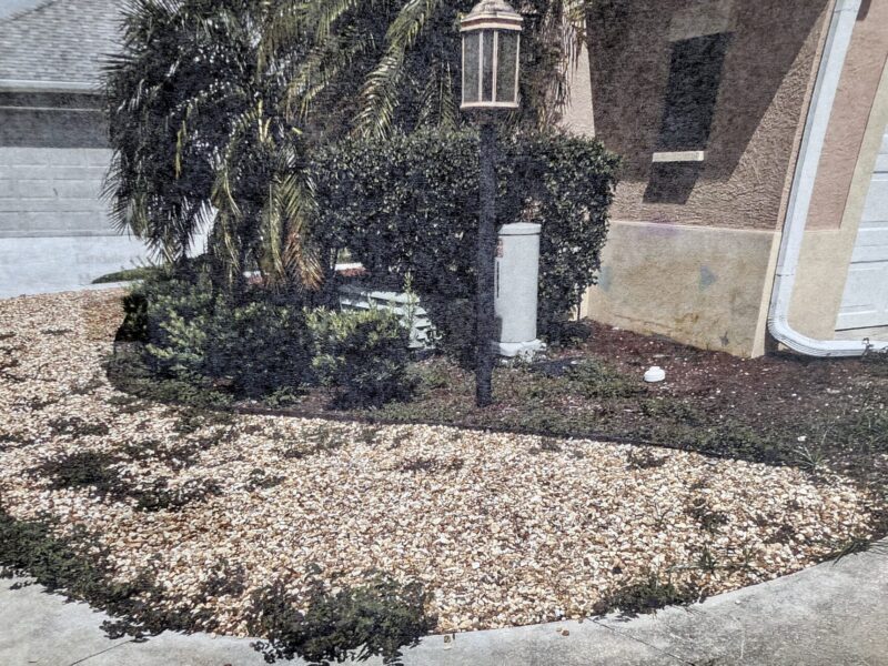 Weeds have been a problem at this rental property in the Ventura Villas