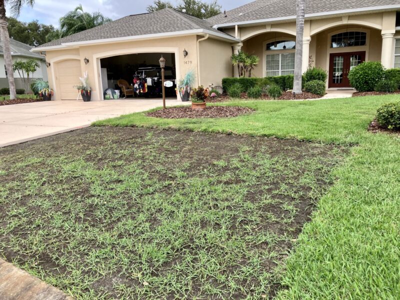 An Indiana doctor who bought this home in the Village of Sunset Ridge at Sunset Pointe has been battling lawn problems.