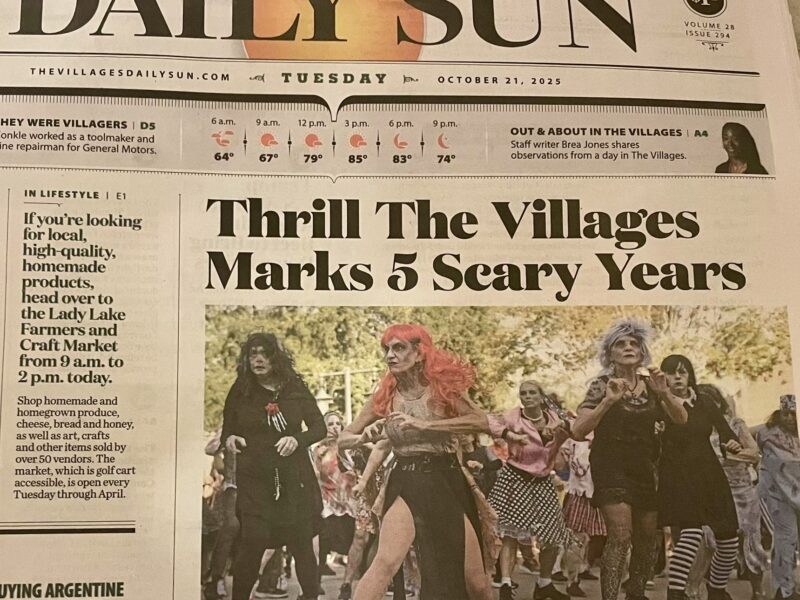Daily Sun Zombies