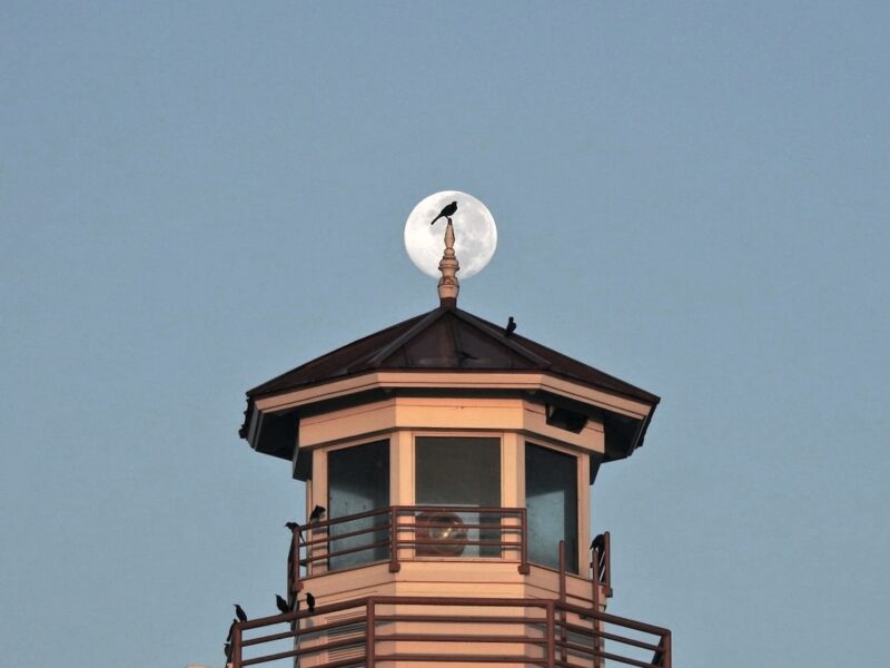 Full harvest moon setting over the Lake Sumter Landing lighthouse