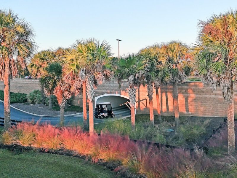 Beautiful November morning in The Villages