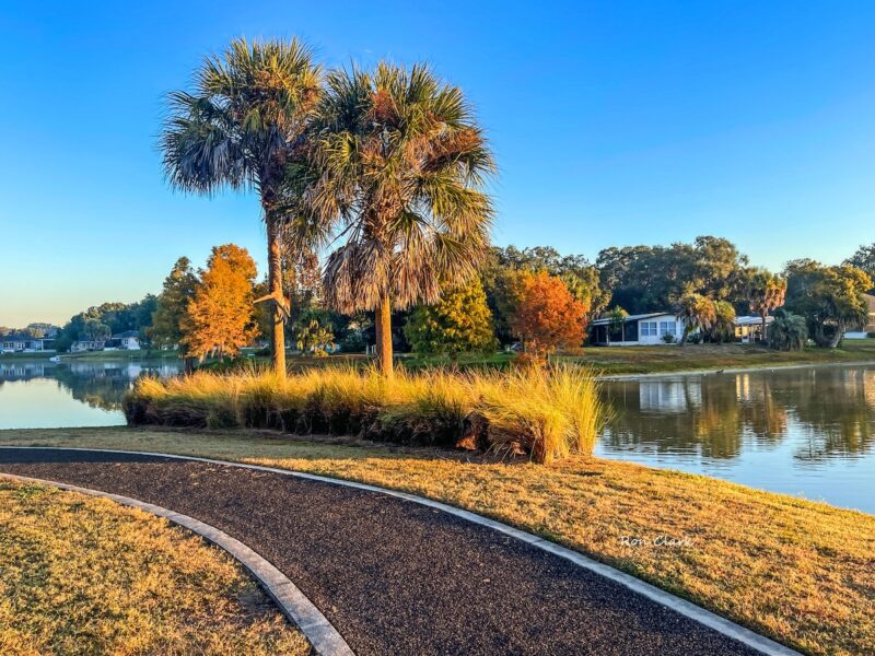 Fall scene at Paradise Park in The Villages