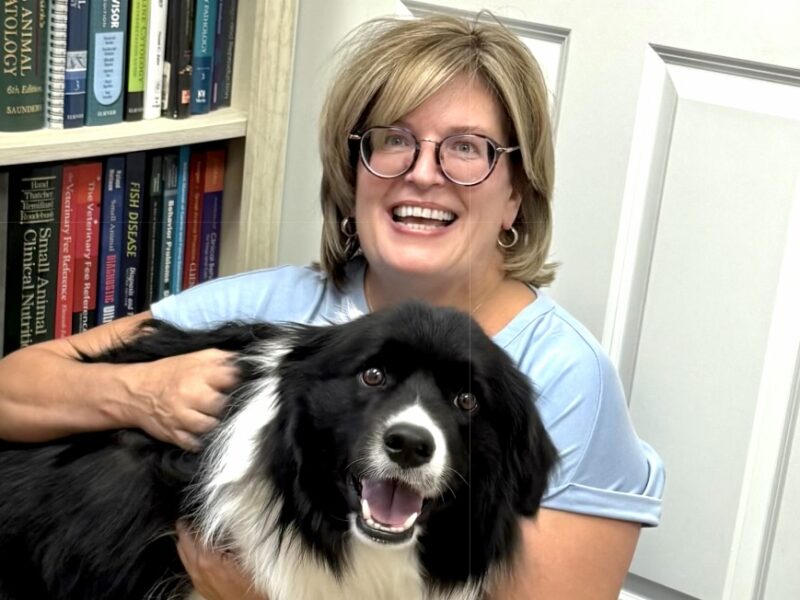 Kristin Ann Mahoney is a veterinarian at Paws Animal Hospital