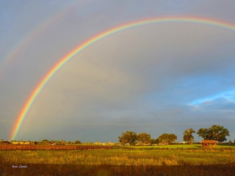 Beautiful rainbow over Sharon Rose Wiechens Preserve