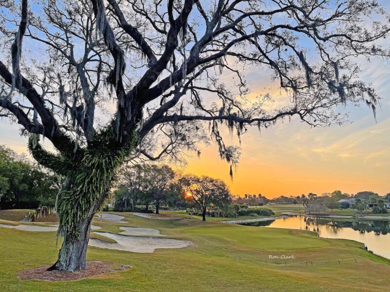 Beautiful sunrise above Havana Country Club in The Villages