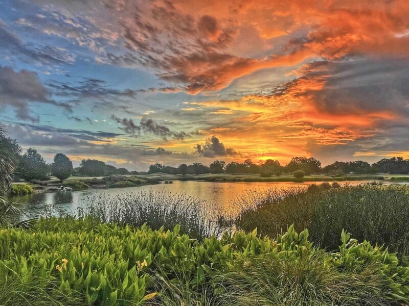 Beautiful sunrise over Hawkes Bay Executive Golf Course