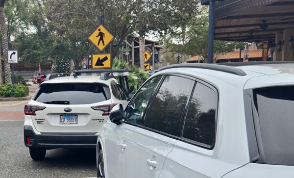 The Illinois license plate confirmed our suspicision that the Bad Parking was by a snowbird The Illinois license plate confirmed our suspicision that the Bad Parking was by a snowbird