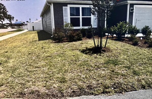 There is dead grass at this home at 2591 Skoblicki St. in Middleton There is dead grass at this home at 2591 Skoblicki St. in Middleton