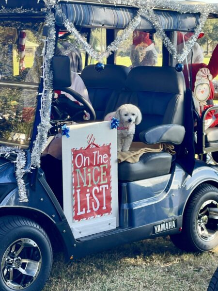 This golf cart was decorated in the spirit of the season