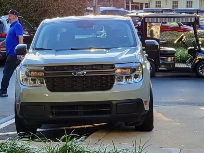 The driver of this vehicle parked half on the sidewalk and half in a handicapped accommodation zone at Lake Sumter Landing