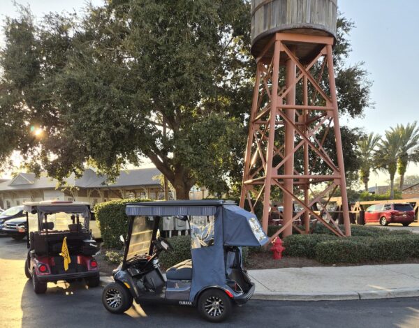 These golf carts found some convenient parking at Lake Sumter Landing These golf carts found some convenient parking at Lake Sumter Landing